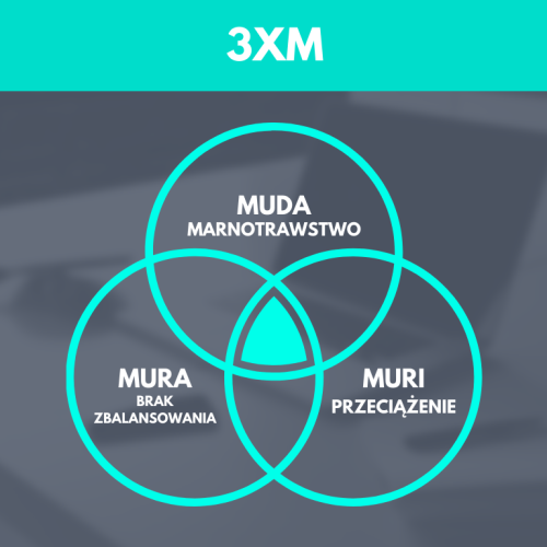 <span style='font-size:32px;font-weight:bold;'>3xM</span> <p><p style='color:#7A7A7A;font-style:italic;font-size:18px;'>Muda, Mura, Muri. Główne straty w procesach</p></p>
